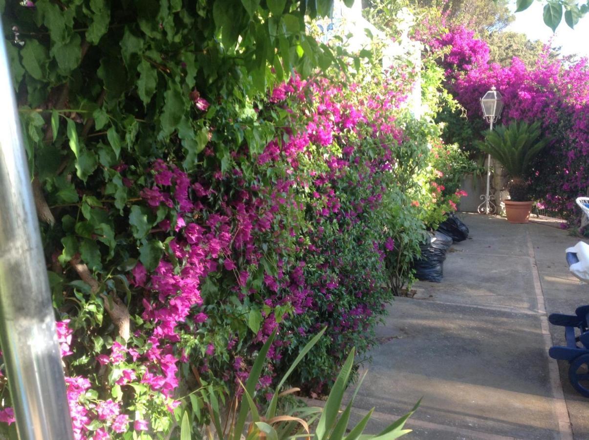 Bed and Breakfast Bb La Guardiia Anacapri  Exterior foto