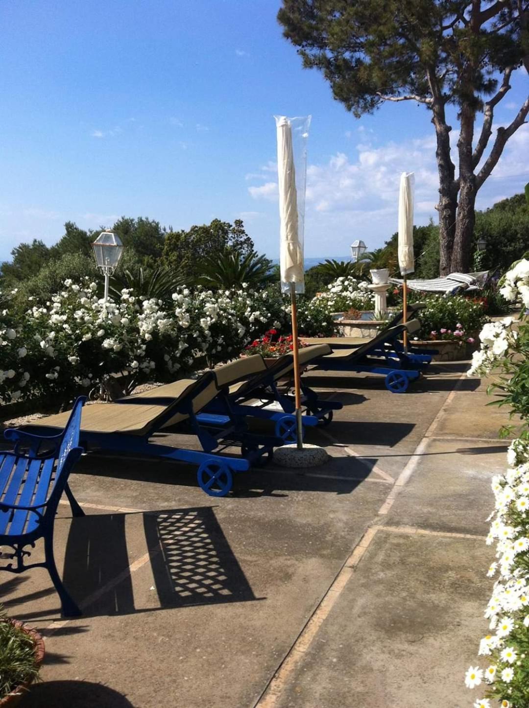 Bed and Breakfast Bb La Guardiia Anacapri  Exterior foto
