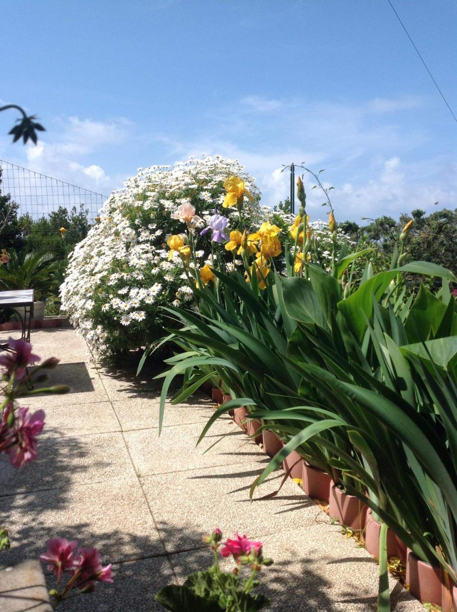 Bed and Breakfast Bb La Guardiia Anacapri  Exterior foto